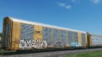 CSX B11875 (Body) TTGX 695491 (Flat)